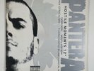 Pantera Hostile Moments 12