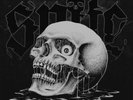 Spite - Dedication To Flesh LP NEW