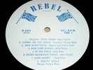 3 LP '65 Rebel Bluegrass Compilations 1st Pressings Blue Flag Labels Play Graded