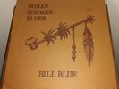 BILL BLUE - Indian Summer Blues Vinyl LP (1975) Private Press Blues Rock, RVA