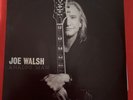 Joe Walsh (The Eagles) - Analog Man  Rare Vinyl Album  Vinyl & Sleeve EX+