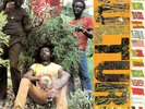 Culture - International Herb (LP, Album)
