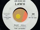 garage rock rockabilly 7” THE SPIDERS & LINK WRAY Baby Doll Run Boy  Mp3 Lawn