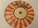 Dandy , We Are Still Rude , Let’s Do Rock Steady   ,  7” Giant