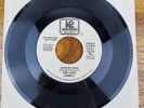 Sweet Soul Crossover 45 The Lost Family Blow My Mind/Pretty Face VG+ Promotional