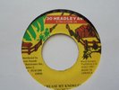 PINCHERS Increase My Knowledge 30 HEADLEY Murder  Digi ROots Reggae 7