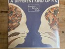 Bombay Bicycle Club - A Different Kind Of Fix NEW VINYL
