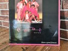 The Cool Notes – Have A Good Forever LP Vinyle German 1985 Intercord INT145.091