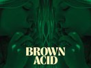 Various - Brown Acid - The Fifteenth Trip NEW Sealed Vinyl LP Album