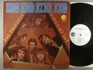 The Triangle  Now How Blue Cow   White Label Promo  RARE LP    Psych
