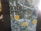 The Stone Roses The Stone Roses US Limited Numbered Yellow Rare Vinyl