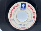 The Warlocks -  Girl/Hey Jo RARE Michigan 1966 Garage Rock 45 LISTEN
