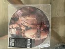 LANA DEL REY PICTURE DISC 7” SINGLE BORN TO DIE ,NEW, UNPLAYED