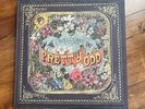 2008 Panic  At The Disco Pretty Odd Limited Edition Deluxe Box Set
