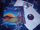 The Waterboys - Dream Harder - Original Vinyl LP album from 1993