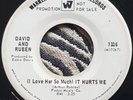 David and Ruben - (I love her so much) It hurts me - Warner Brothers Demo