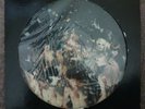 Roxy Music Manifesto vinyl Picture Disc 12