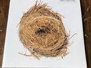 Wilco - A Ghost Is Born Vinyl Record BLACK 2xLP First Pressing 2004