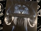 Evanescence “The Lost Whispers” Translucent Blue Vinyl LP Record Store Day -open