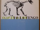 YO LA TENGO Ride The Tiger LP MATADOR 1986 US re+inner+bonus tracks  IRA KAPLAN