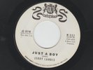 TEEN  45 - JERRY LANDIS ( aka PAUL SIMON )- JUST A BOY  -HEAR 1960 PROMO WARWICK