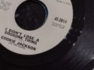 Cookie Jackson And The Flares – I Didn t Lose A Doggone Thing / Write A Song Abo