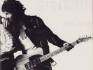 Bruce Springsteen - Born To Run (Vinyl LP - Ireland 1975)