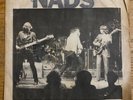 THE NADS - You Dont Know Me 7