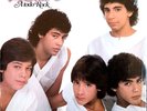 MENUDO A TODO ROCK VINYL LP ALBUM 1983 PADOSA INC JONNY RICKY RAY ROY CHARLIE