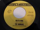 45 THE RAMRODS Plymouth 2964 Mister Wind/Bright Lit Blue Skies GARAGE VG+