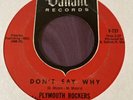 Plymouth Rockers NW Garage Psych 45 Don’t Say Why 1966 Valiant Records VG+