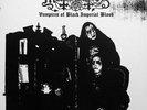 Mütiilation - Vampires Of Black Imperial Blood DLP (Mutiilation)