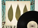 Limited Edition Biffy Clyro Similarities Double 12” Vinyl LP Record B-Side Rare