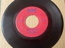 Danny White 1969 NORTHERN SOUL 45 Never Like This / King For A Day KASHE M- HEAR