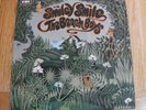 The Beach Boys / LP Record