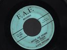 Hear Floyd Fletcher Rockabilly Original (not repro) 45 (Move On Down the Track)