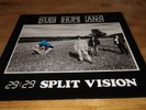 SUBHUMANS LP SPLIT VISION BLUURG RECORDS FISH 16 PUNK KBD RARE 1986