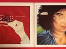 ALBERTO RADIUS AMERICA GOOD BYE VINYL LP LIMITED EDITION ITALY 1979 EX- EX-