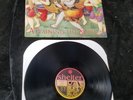 1993 SHELTER Attaining The Supreme Vinyl LP Record Equal Vision EVR7