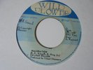 DELROY WILSON Imagination WLD FLOWER  Soul Cover Reggae 7