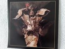 Behemoth Vinyl 