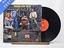 The Who - Who Are You - A//1 B//3 LP Vinyl Record - EX/EX