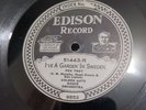 1924 Edison Diamond Disc I've A Garden In Sweden/ Southern Rose 98531-B13
