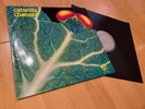 Catapilla - Changes / German Vertigo Swirl Promo Ultra rare Vinyl Schallplatte