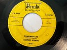 Blues 45 / Lightnin' Hopkins 