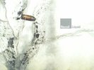 RECOIL - Liquid (reissue) - Vinyl (2xLP)