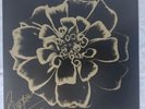 Siouxsie And The Banshees All Souls Black vinyl LP  + Siouxsie SIGNED Print