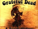 GRATEFUL DEAD A Touch of Grey 10