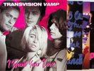 Transvision Vamp – I Want Your Love 3-LP BOX (Pop Art/Velveteen/Little Magnets)