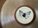 Julian Lennon Everything Changes numbered & Pressed On Clear Vinyl New & Sealed
